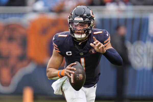 Lions bears stream reddit clearance